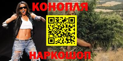 прущие грибы Пушкино