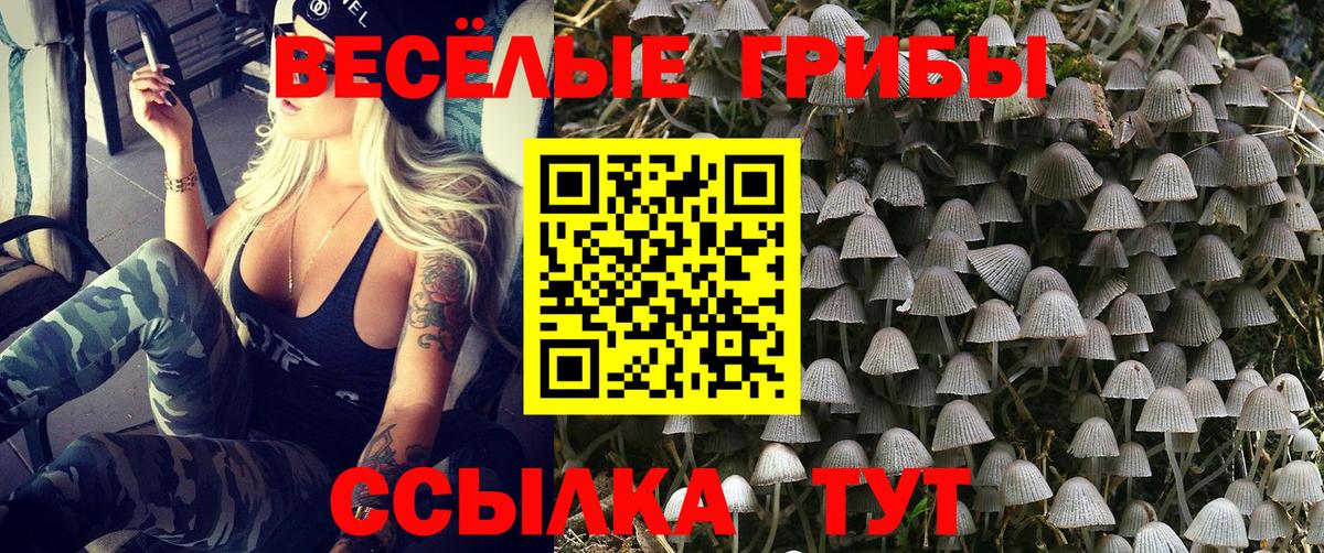 Белогорск  Псилоцибиновые грибы ЛСД  Вход с VPN 