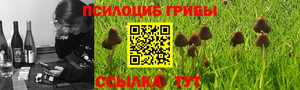 Галлюциногенные грибы MAGIC MUSHROOMS Белогорск